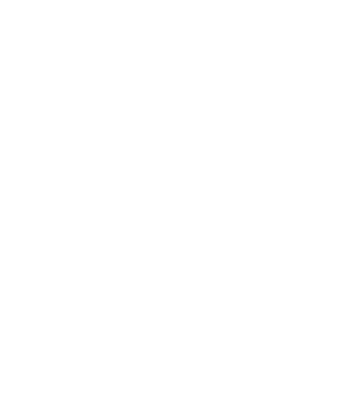 FTO Groups logo